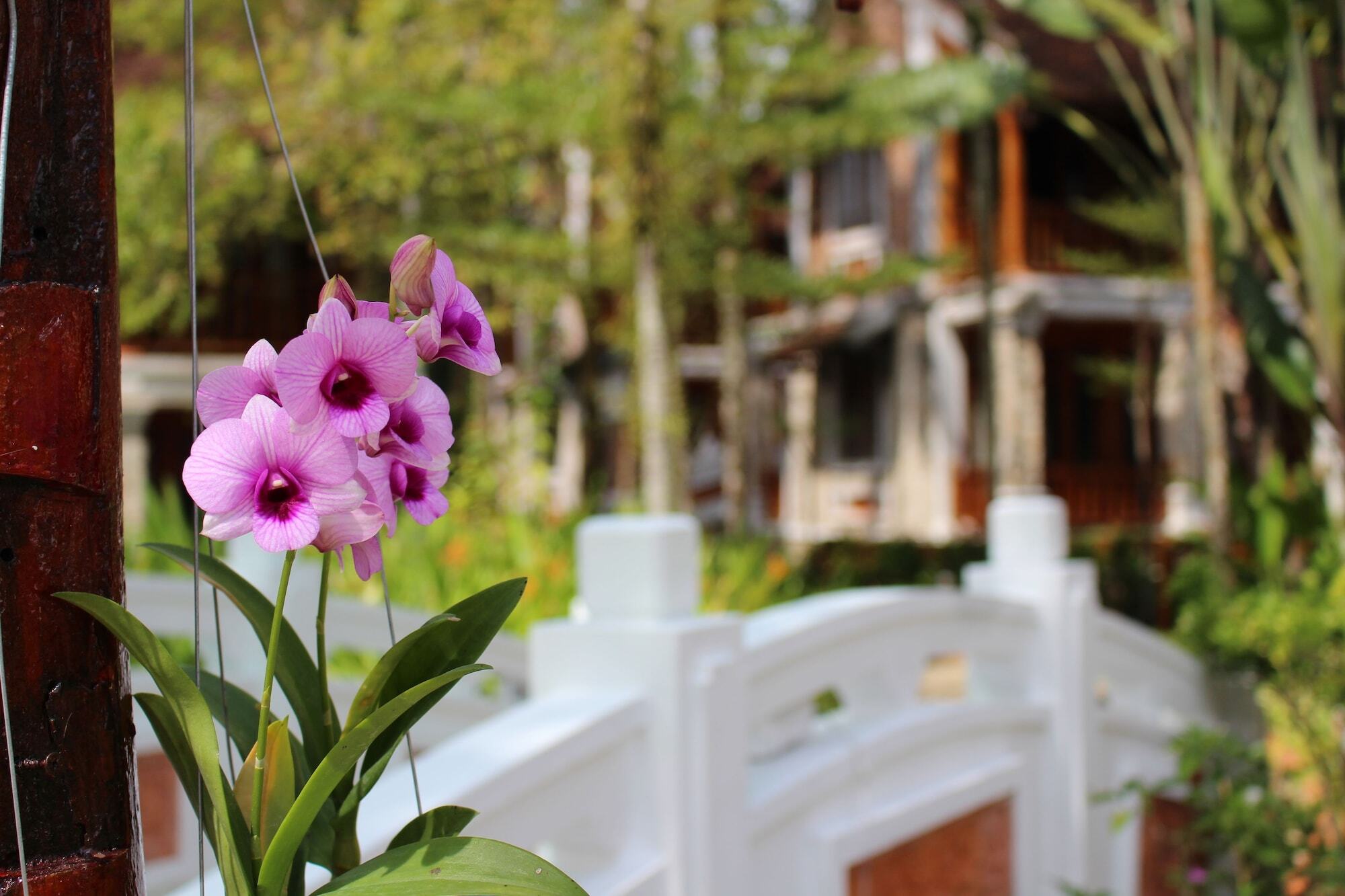 Ancient Village Phu Quoc Resort Exteriér fotografie